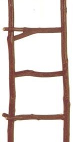 Decorative Rustic Ladder